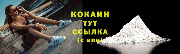 МДПВ Заречный
